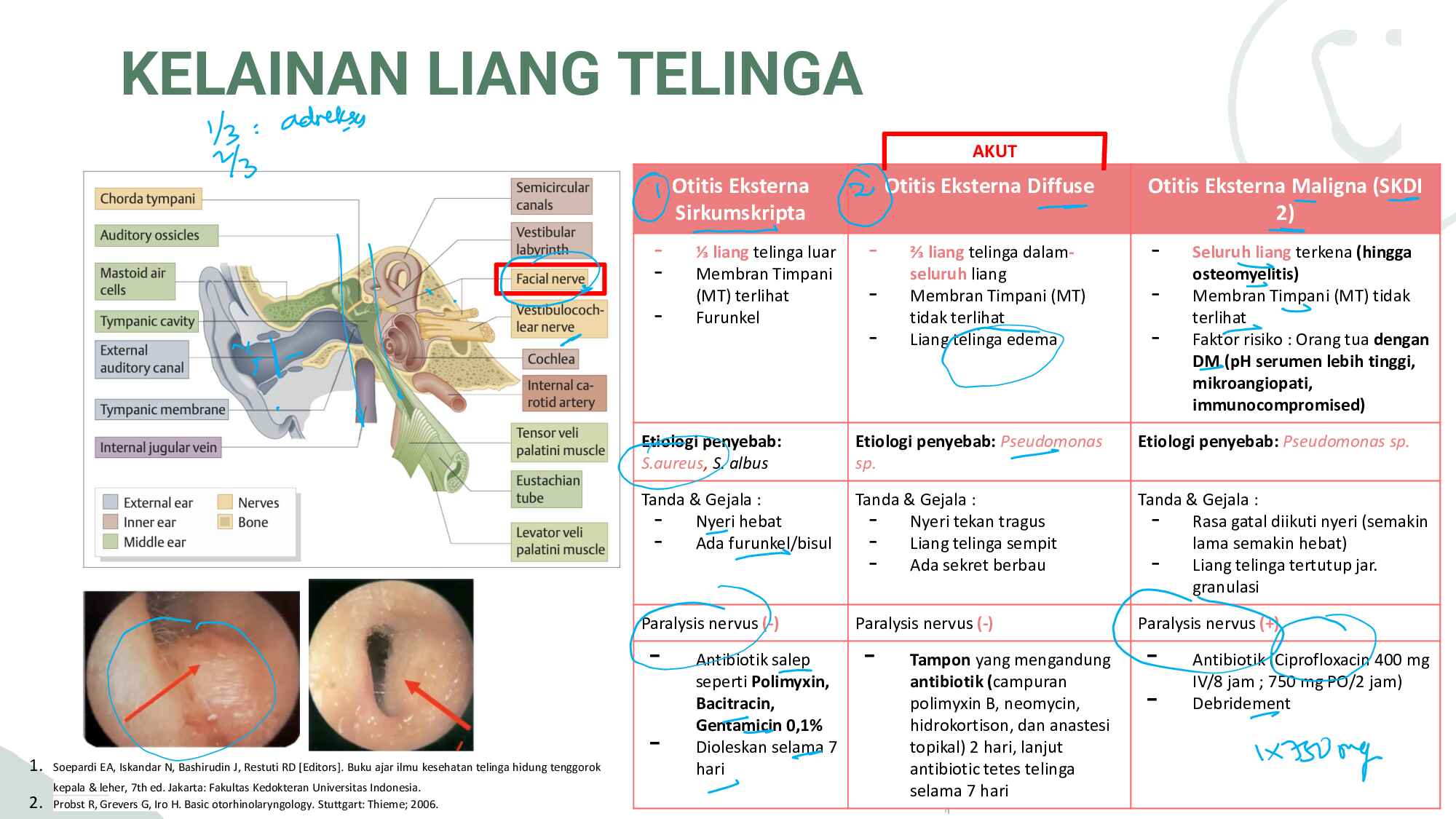 primary-care-1_coretan-dr-riana-122