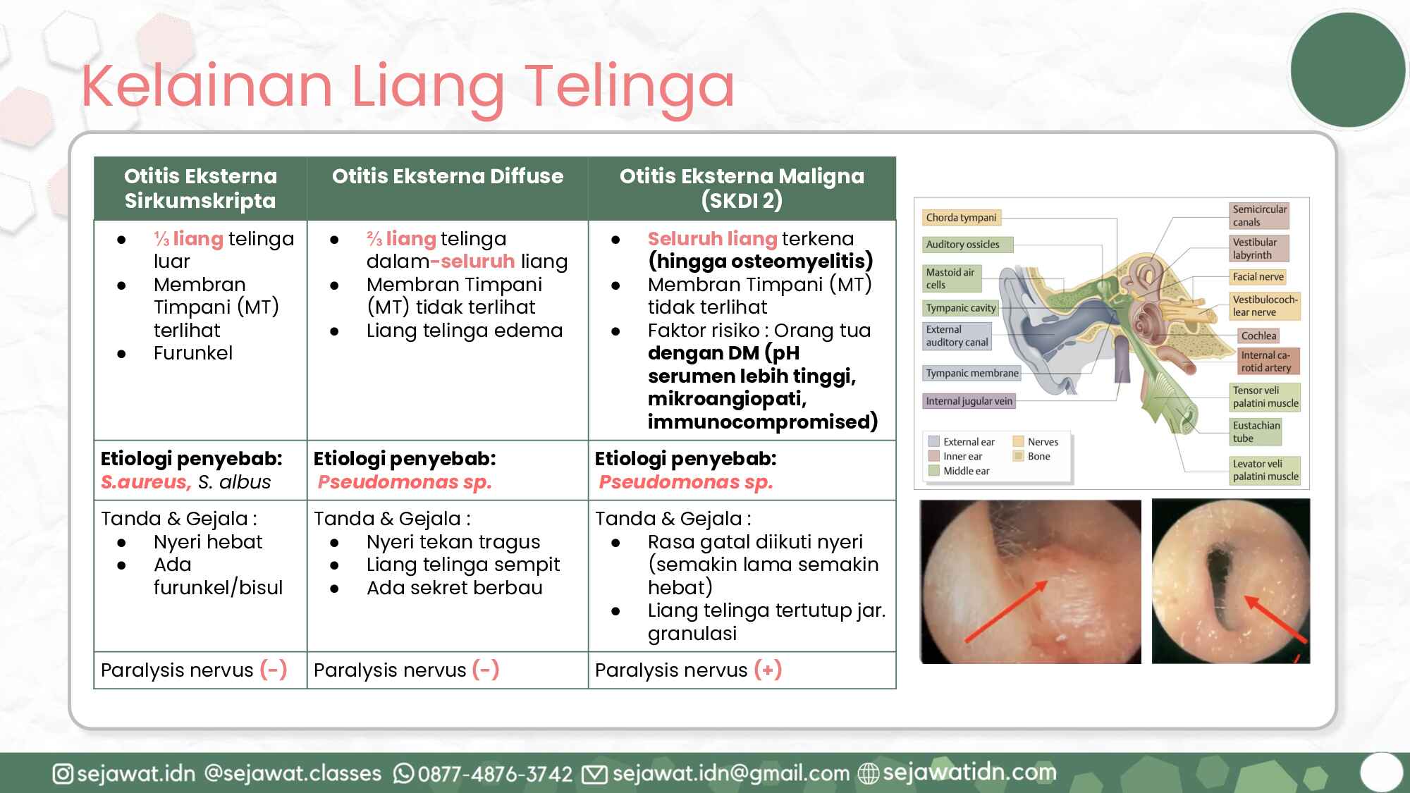 primary-care-1_kelas-internship-april-2025-999