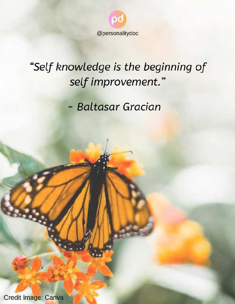 self-knowledge---mengenal-diri-sendiri-dengan-lebih-baik---kelly-personality