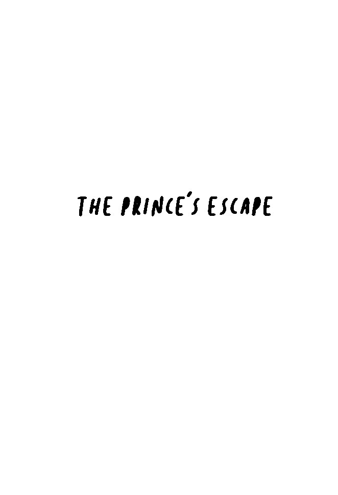 the-princes-escape-by-faradita