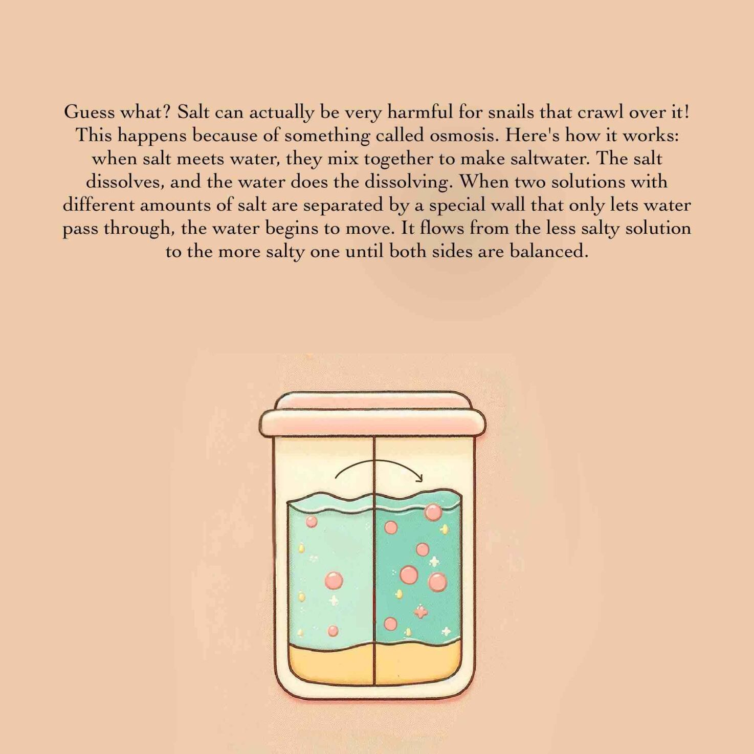 the-salt-trap-ebs-1771059158517