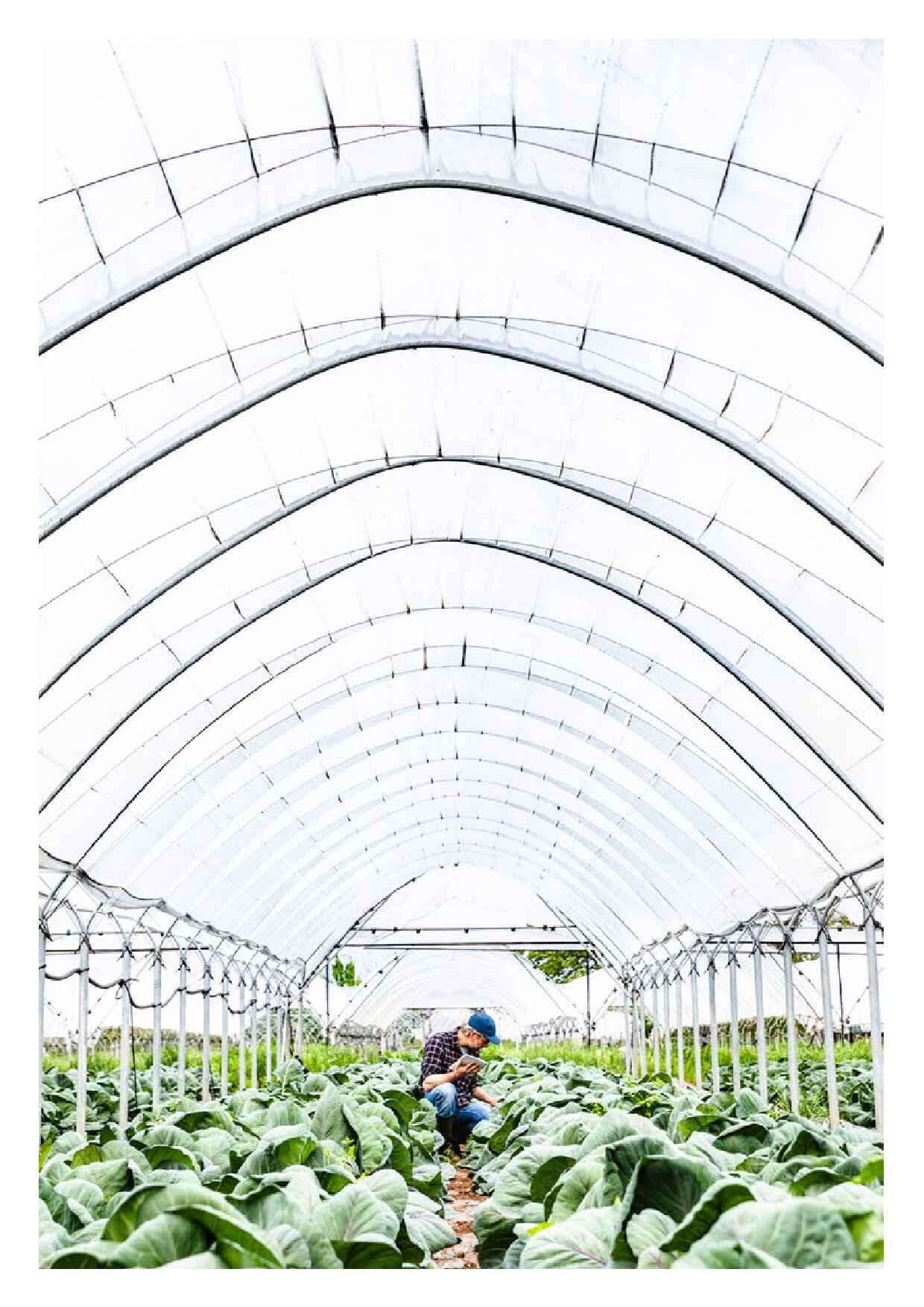 the_food_revolution_july2019_en
