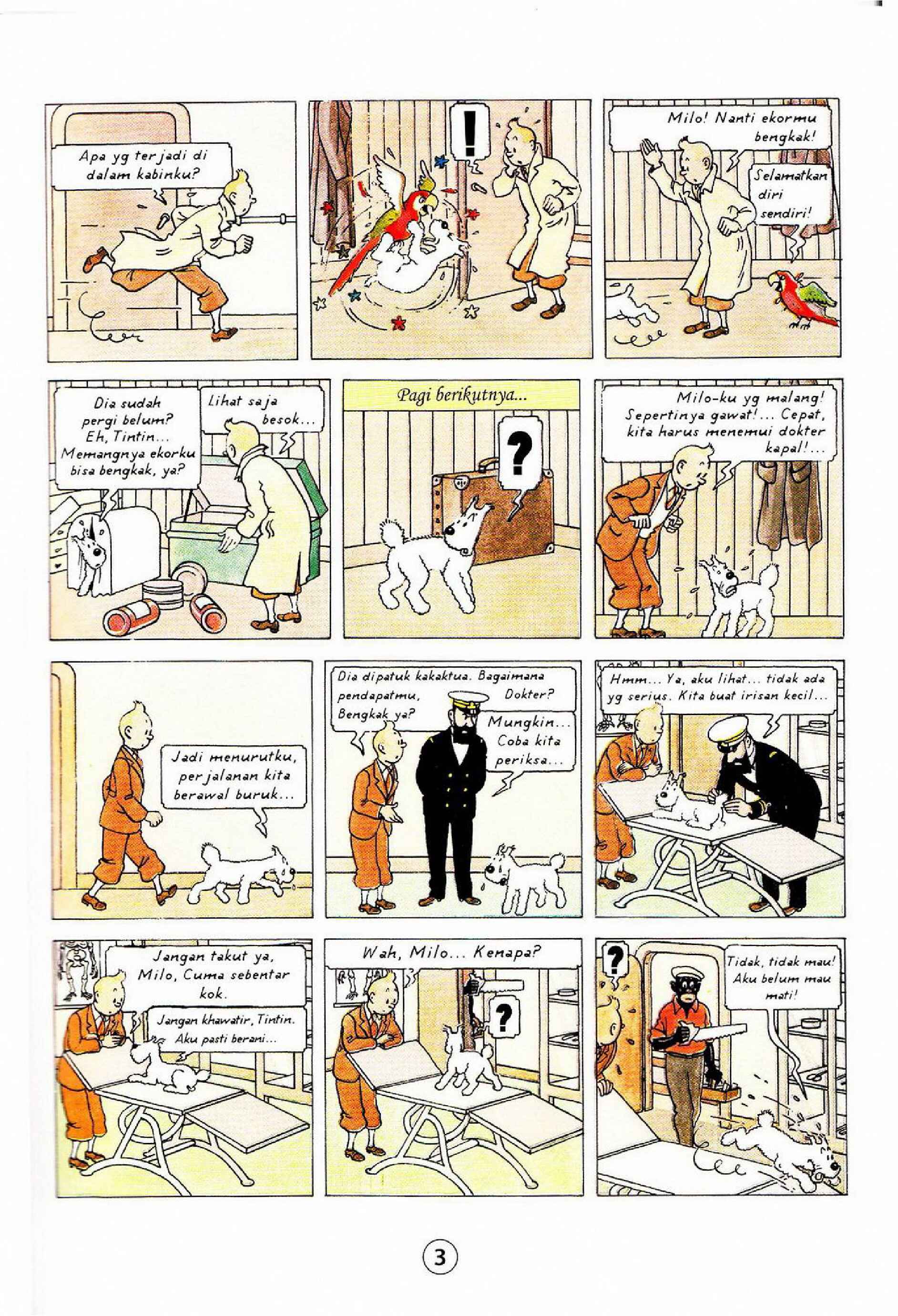 tintin-di-kongo