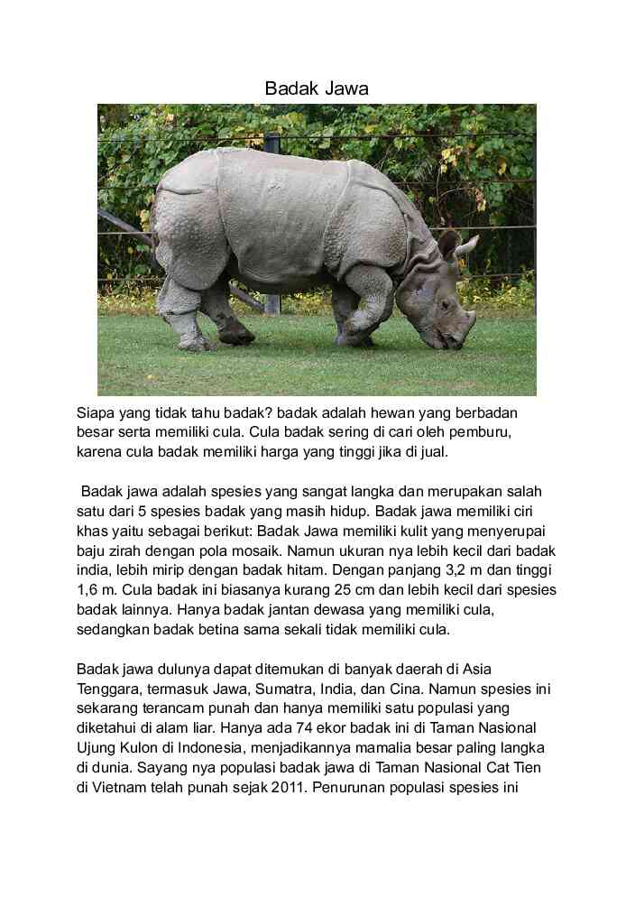tugas b.indo badak jawa (1)