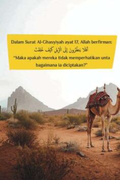 unta-di-surat-al-ghasiyah-ebs-1755042467302