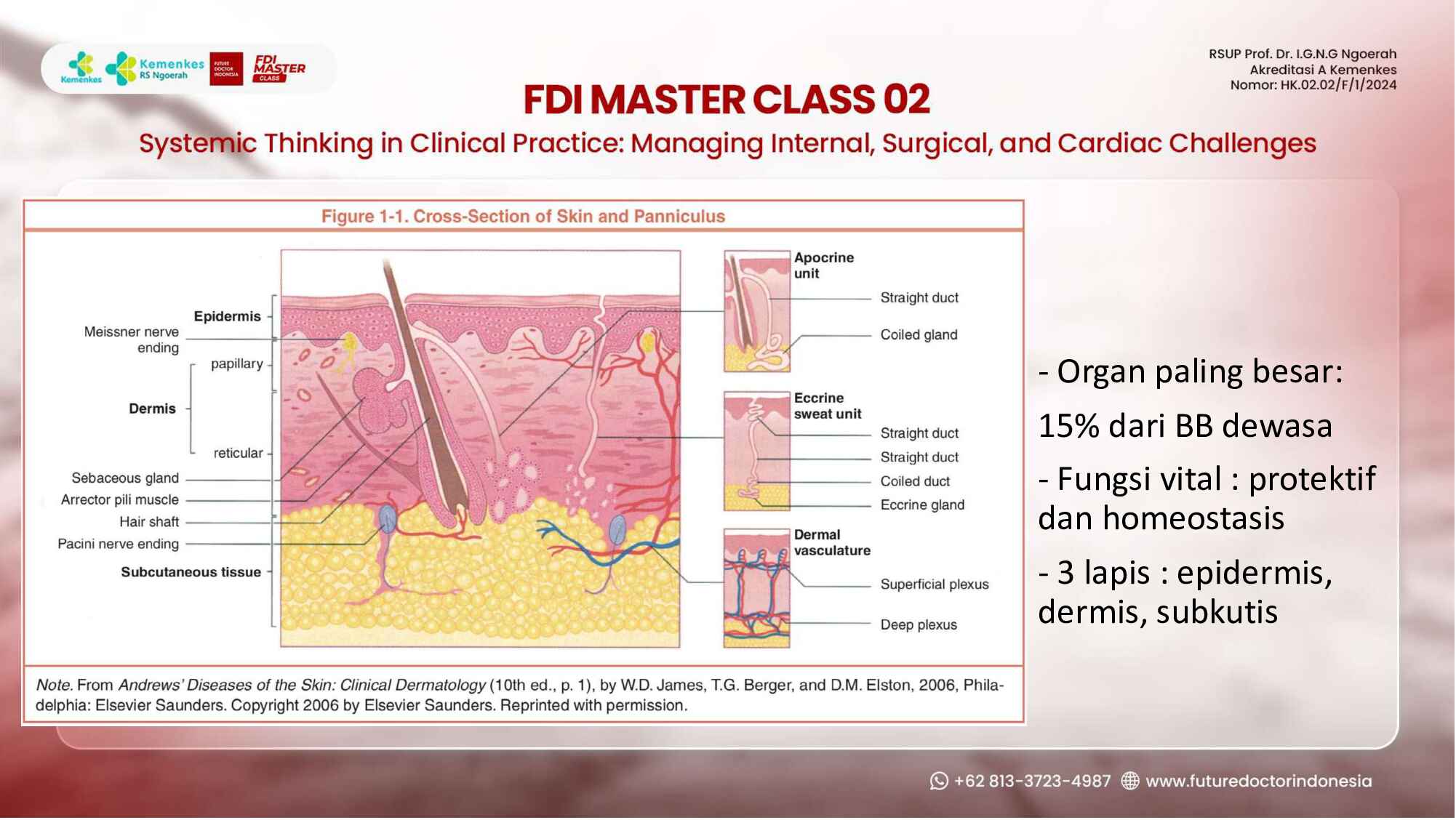 wound-management-in-the-clinical-setting_-principles-and-pitfalls-285