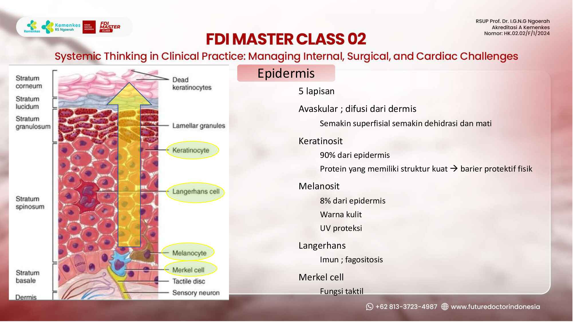 wound-management-in-the-clinical-setting_-principles-and-pitfalls-285