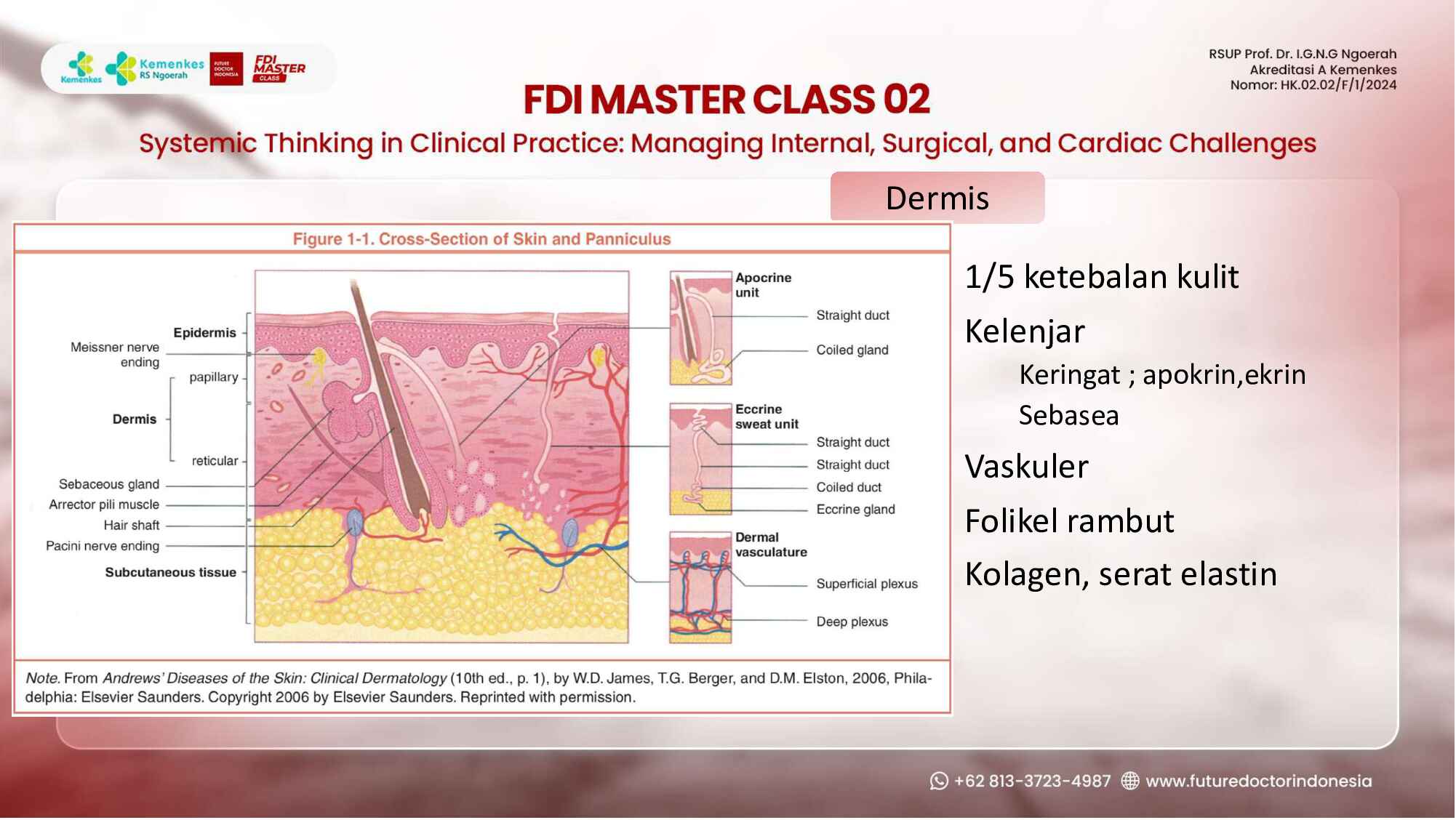 wound-management-in-the-clinical-setting_-principles-and-pitfalls-285