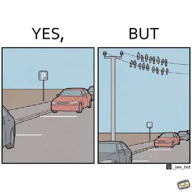 yes-but-v1